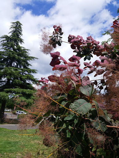 Park «Juanita Beach Park», reviews and photos, 9703 NE Juanita Dr, Kirkland, WA 98034, USA