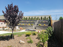 Holt Landscape Inc. - Photo 5 - Car repair in Loomis, CA, Roseville