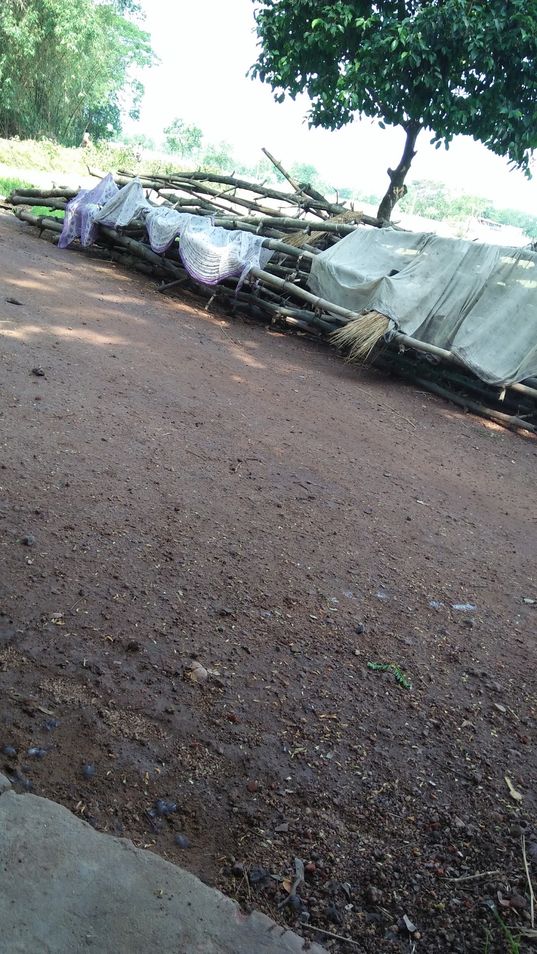 Anukul Dey