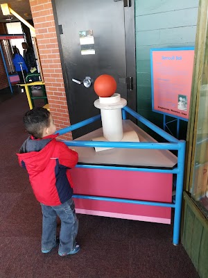Bluedorn Science Imaginarium - photo 20