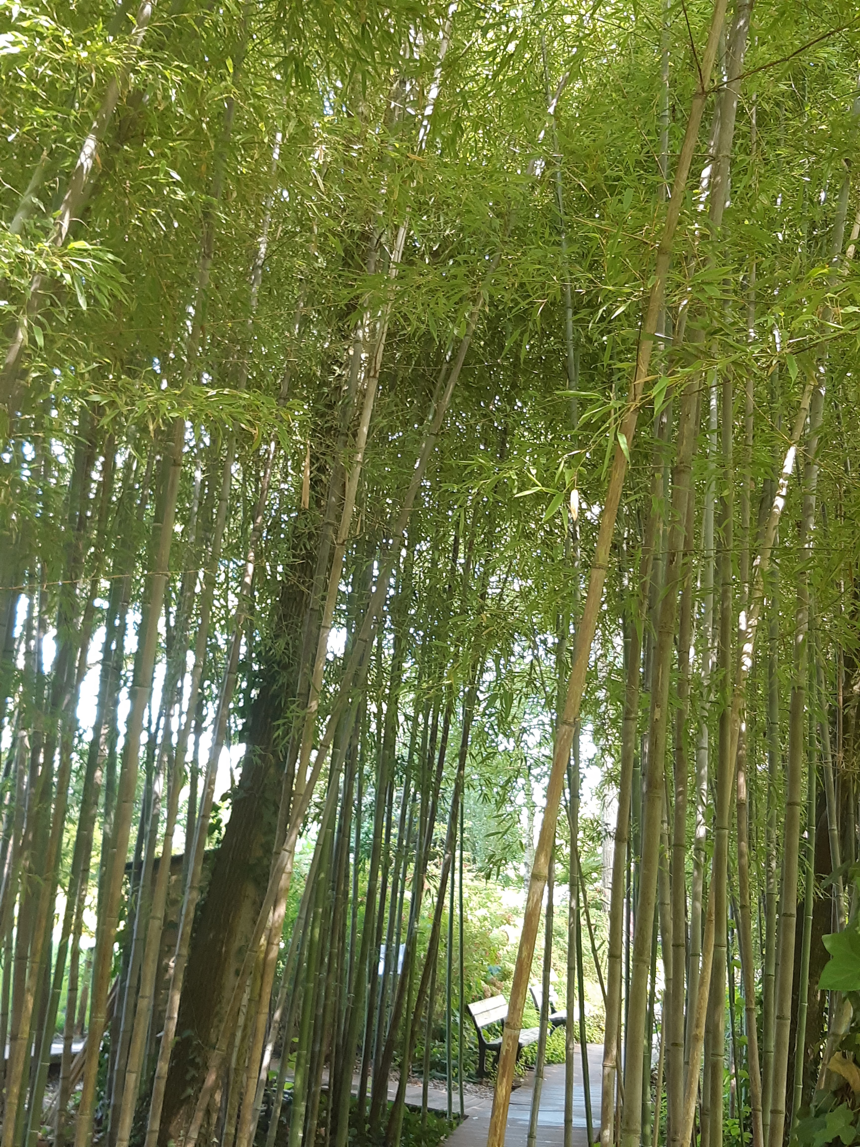 Photo n° 1 de l'avis de Marie.a fait le 09/09/2020 à 15:50