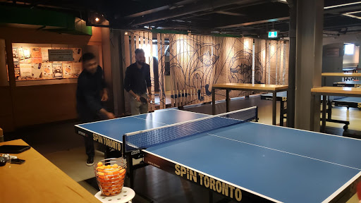 Ping pong lessons Toronto