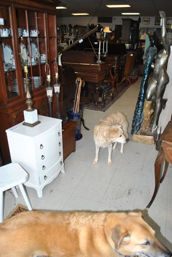 Antique Furniture Store «Aardvark Antiques & Estate Liquidations», reviews and photos, 4316 Mundy Mill Rd, Oakwood, GA 30566, USA
