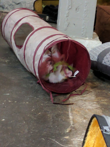 Cafe «atmalogy», reviews and photos, 2320 West End Ave, Nashville, TN 37203, USA