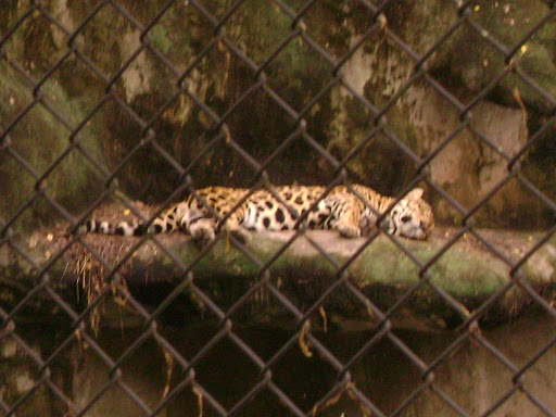 Park «Lou Berliner Park», reviews and photos, 1300 Deckenbach Rd, Columbus, OH 43223, USA