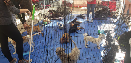 Grocery Store «H-E-B plus!», reviews and photos, 420 W Bandera Rd, Boerne, TX 78006, USA