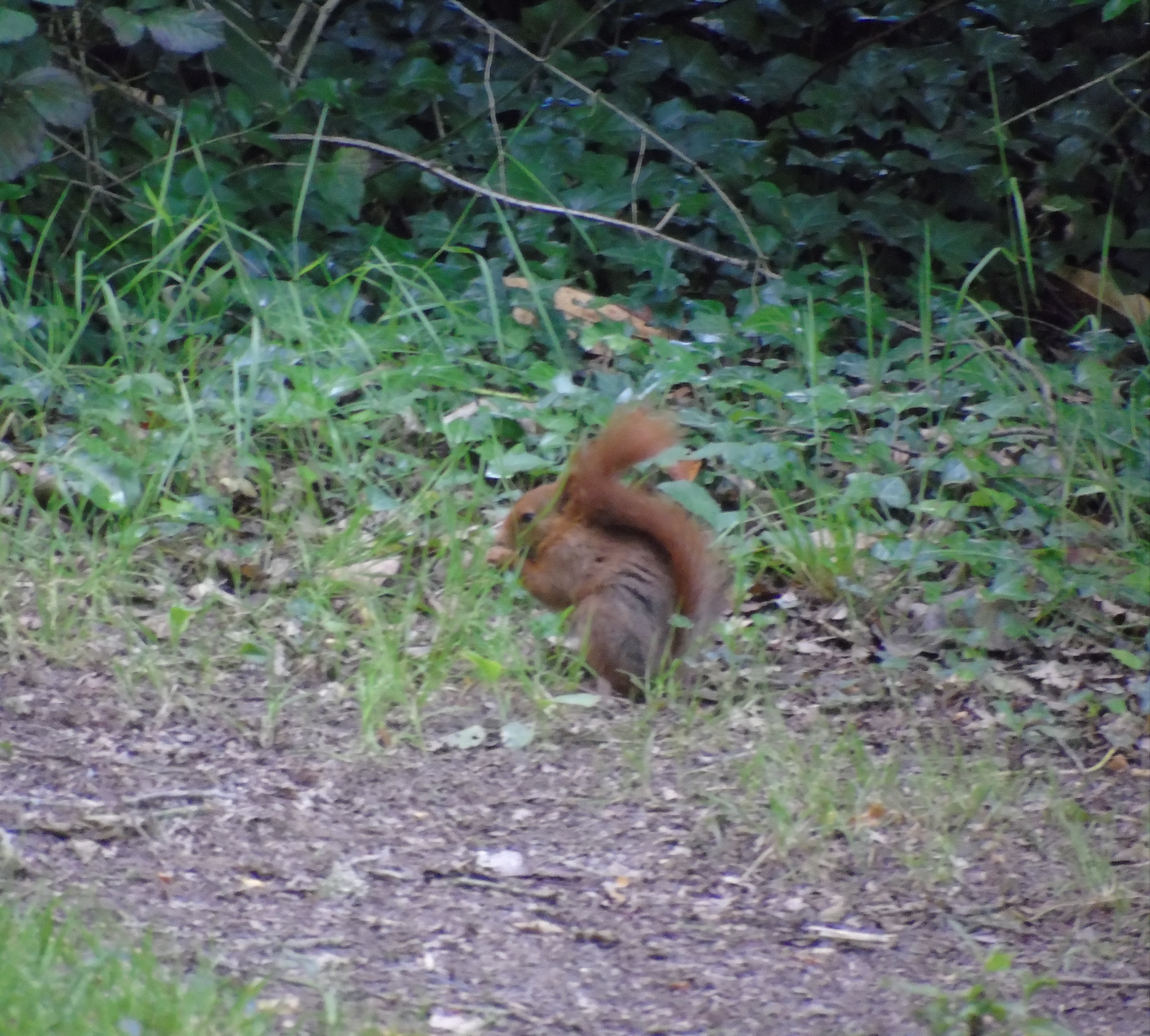 Photo n° 4 de l'avis de Ced.t fait le 06/06/2019 à 15:52