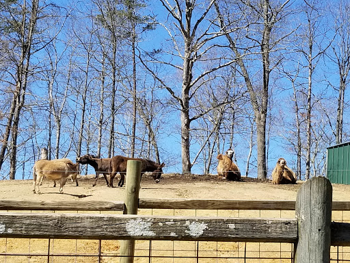 Zoo «Little Ponderosa Zoo and Rescue», reviews and photos, 629 Granite Rd, Clinton, TN 37716, USA