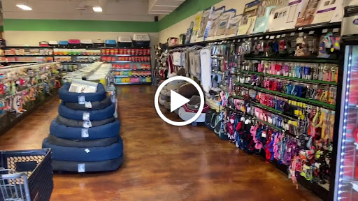 Pet Store «Choice Pet Market», reviews and photos, 2915 W Ray Rd, Chandler, AZ 85224, USA