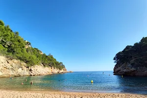 Cala Pola image