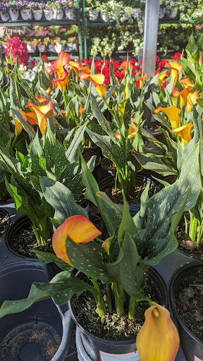 Home Improvement Store «The Home Depot», reviews and photos, 2461 Naglee Rd, Tracy, CA 95304, USA