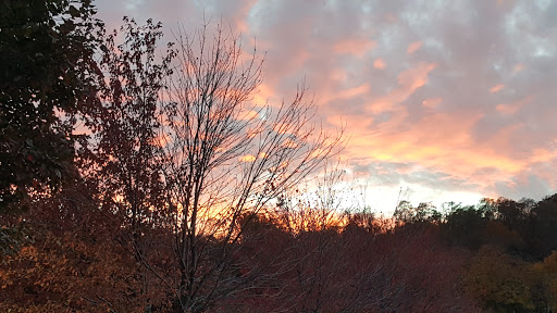 Event Venue «The View on the Hudson», reviews and photos, 101 Shad Row, Piermont, NY 10968, USA