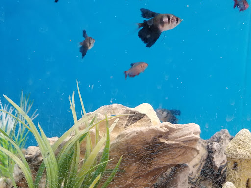 Pet Supply Store «PetSmart», reviews and photos, 620 N West End Blvd, Quakertown, PA 18951, USA