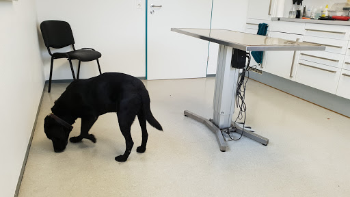 Tierarztpraxis Dr. Elisabeth Gielen unter Biebertal, Hessen