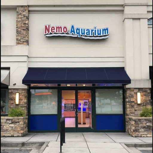 Tropical Fish Store «Nemo Aquarium», reviews and photos, 1560 Indian Trail Rd #106, Norcross, GA 30093, USA