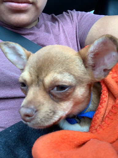 Pet Supply Store «Unleashed by Petco», reviews and photos, 4821 Lankershim Blvd, North Hollywood, CA 91601, USA