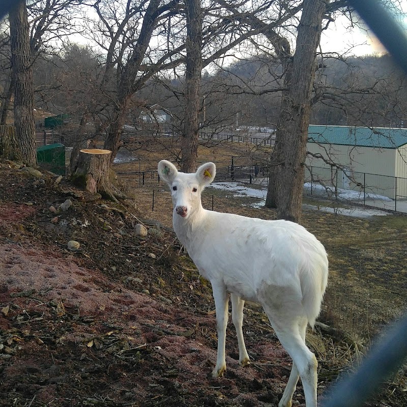 Redwood Falls Zoo