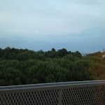 Photo n°3 de l'avis de Cristian.a fait le 15/06/2019 à 16:50 sur le  Hotel Sorriso à Lido di Classe