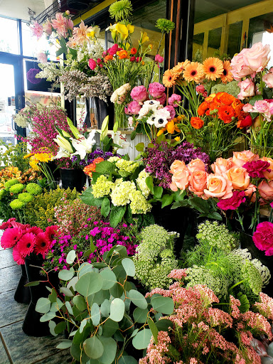 Florist «Rainbow Flowers», reviews and photos, 1070 University Ave, San Diego, CA 92103, USA