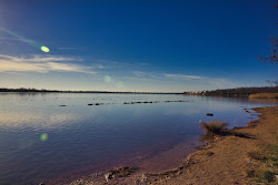 Markkleeberg Strandbad'in fotoğrafı çok temiz temizlik seviyesi ile