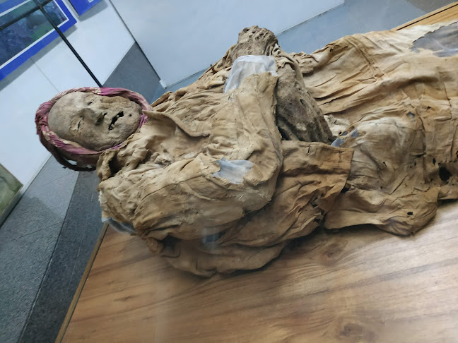 Museo de la momia