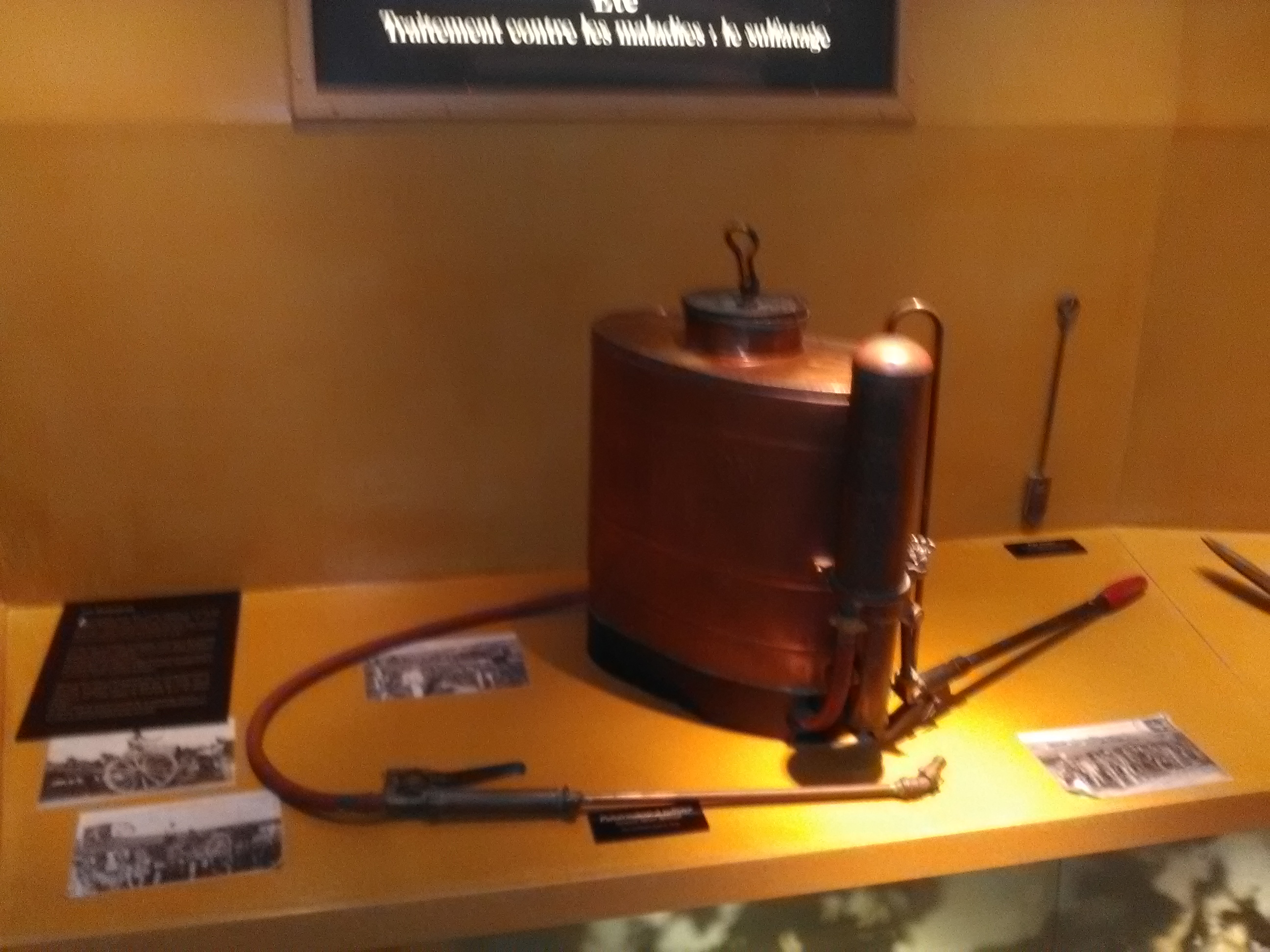 Photo n° 18 de l'avis de Athéna.e fait le 15/08/2017 à 06:29