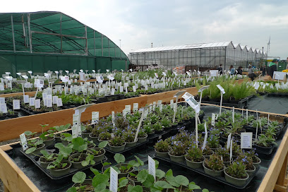 WUK bio.pflanzen - Soziale Landwirtschaft