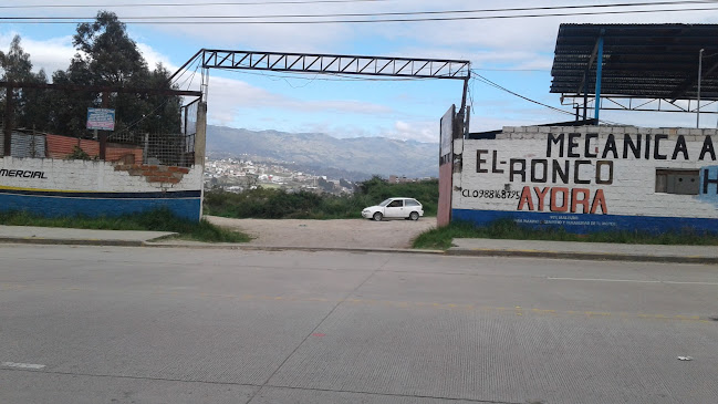 Opiniones de Mecanica Automotriz El Ronco Ayora en Loja - Taller de reparación de automóviles