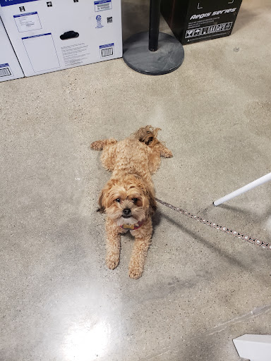 Best Buy image