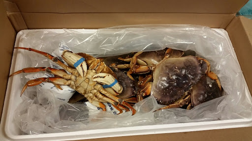 Asian Grocery Store «Sunseng Supermarket», reviews and photos, 5201 NJ-38 #101, Merchantville, NJ 08109, USA