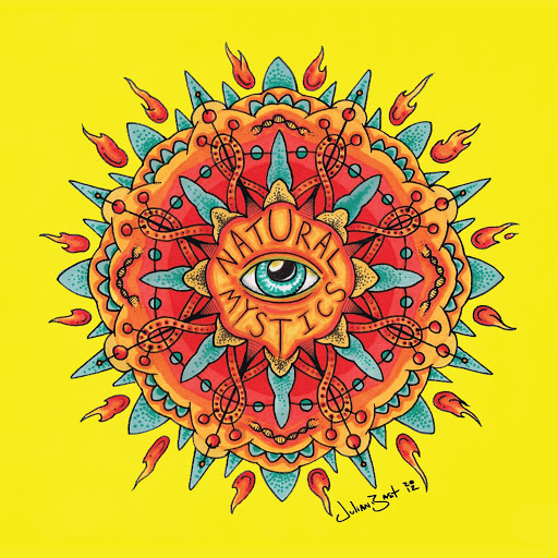 Gift Shop «Natural Mystics Smoke Shop», reviews and photos, 1002 Prince Edward St, Fredericksburg, VA 22401, USA