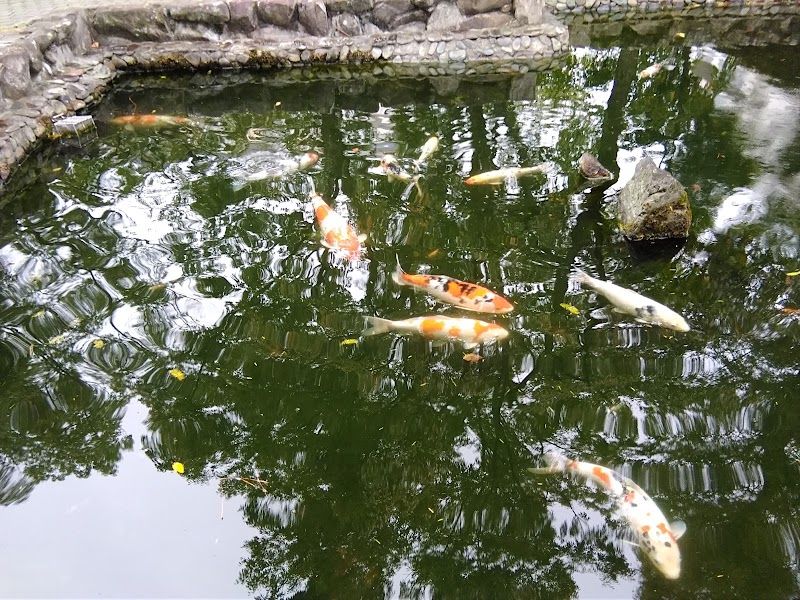 ロシア連邦在大阪総領事館 大阪府豊中市西緑丘 外国領事館 グルコミ