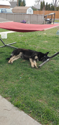 Pet Supply Store «Poudre Pet and Feed Supply», reviews and photos, 2400 N Lincoln Ave, Loveland, CO 80538, USA