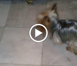 White House in Mexico photo