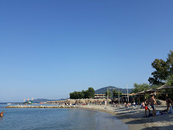 Moraitika Beach'in fotoğrafı otel alanı