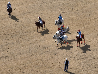 Arizona Polo Club