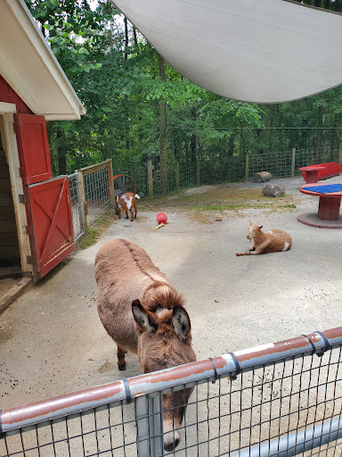 Science Museum «Museum of Life and Science», reviews and photos, 433 W Murray Ave, Durham, NC 27704, USA