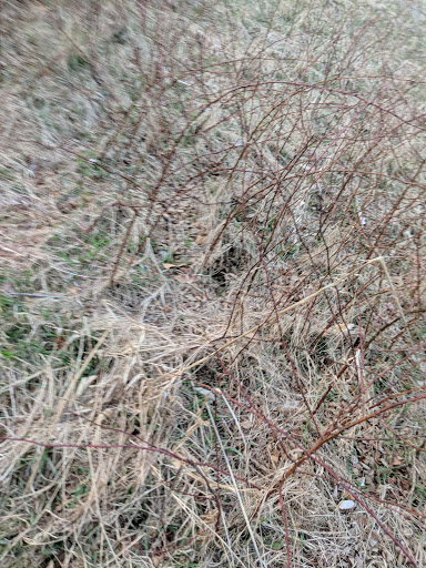 Nature Preserve «Ashland Nature Center of Delaware Nature Society», reviews and photos, 3511 Barley Mill Rd, Hockessin, DE 19707, USA