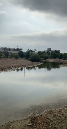 حدائق إطلالات العقيق