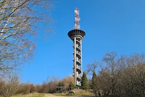 Wieża Widokowa w Kolibkach image