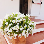 Photo n°3 de l'avis de mari.l fait le 25/06/2022 à 15:14 sur le  Hotel mare Blue à Pittulongu