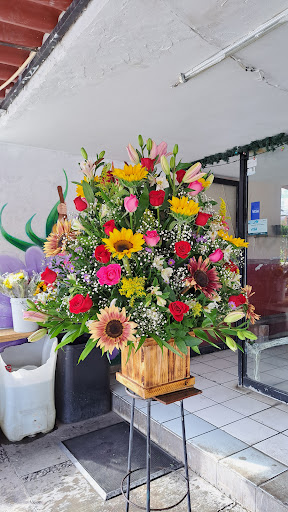 Floreria san judas tadeo – Colima