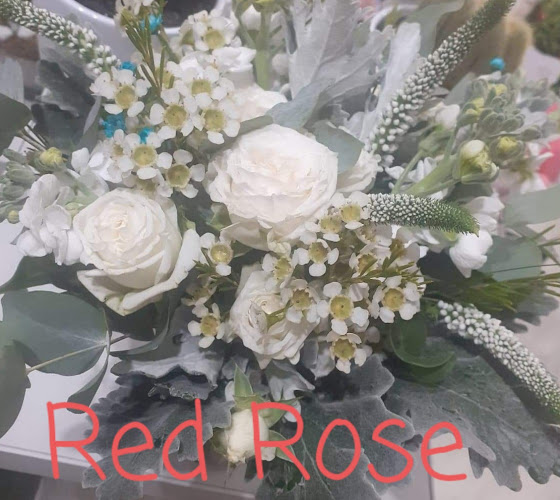Floraria Red Rose
