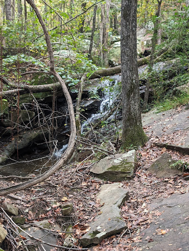 Moss Rock Preserve Sulphur Springs Rd Trailhead