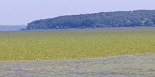 Nature Preserve «Esopus Meadows Preserve», reviews and photos, 257 River Rd, Ulster Park, NY 12487, USA