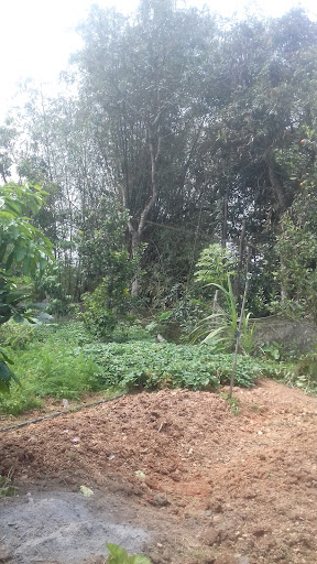 Top 20 điểm check in Huyện Can Lộc Hà Tĩnh 2022