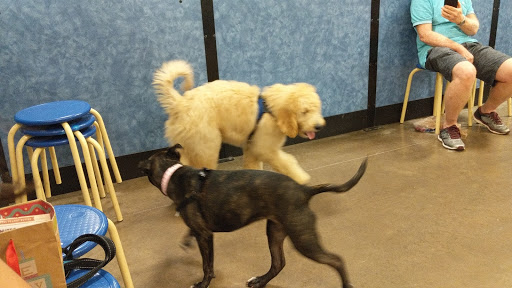 Pet Supply Store «PetSmart», reviews and photos, 111 Nassau Park Blvd, Princeton, NJ 08540, USA