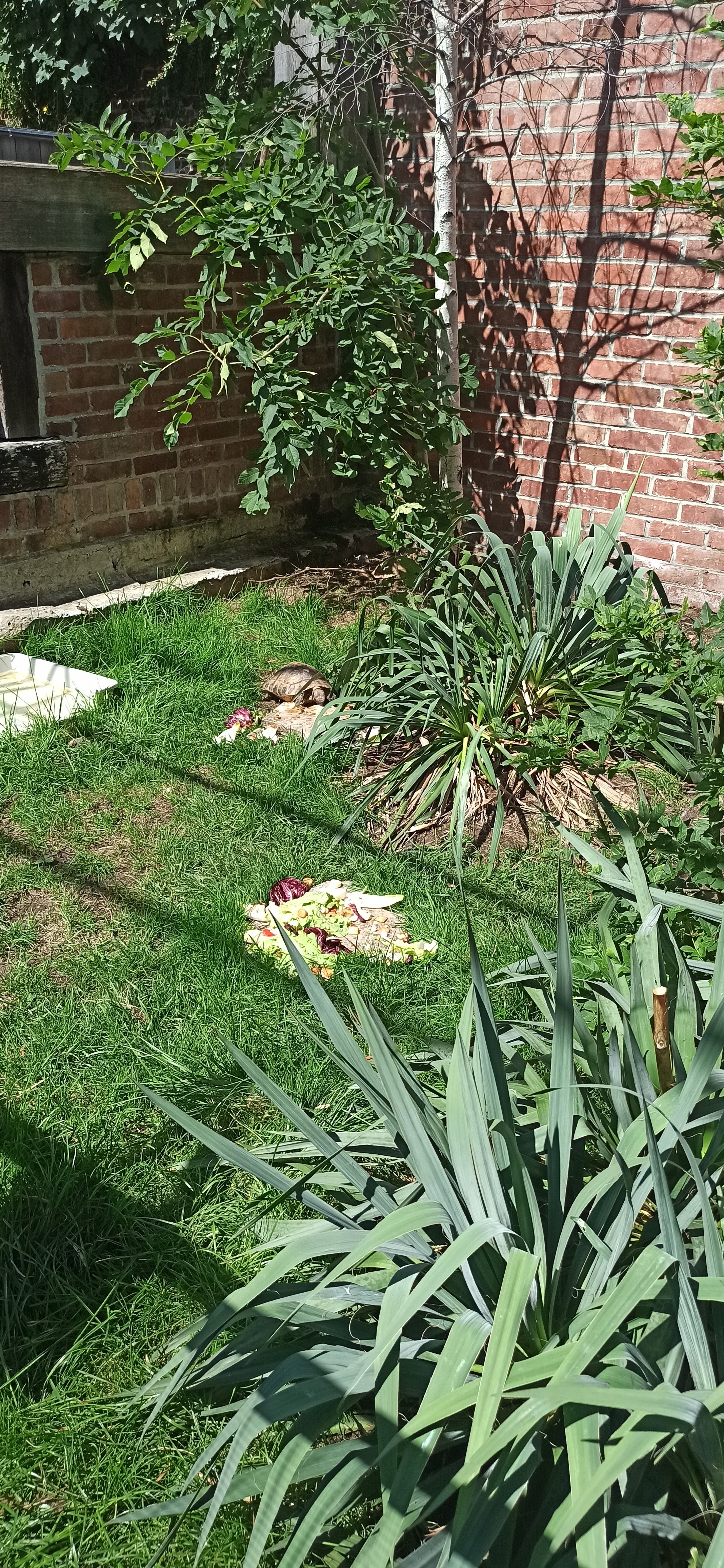 Photo n° 2 de l'avis de Patawin.e fait le 19/08/2023 à 08:38