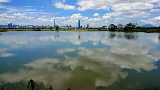 Mai Po Nature Reserve