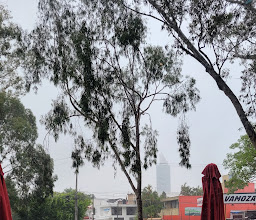 La Borra Del Cafe photo